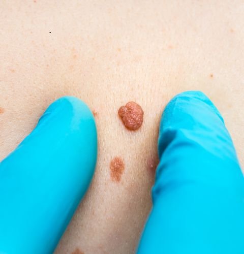 untitled design 2025 11 26t123230.742